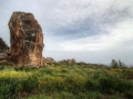 100 - Malta