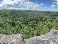 IMG_3793