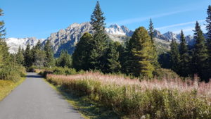 Tatry ošarpance HK Rožnov